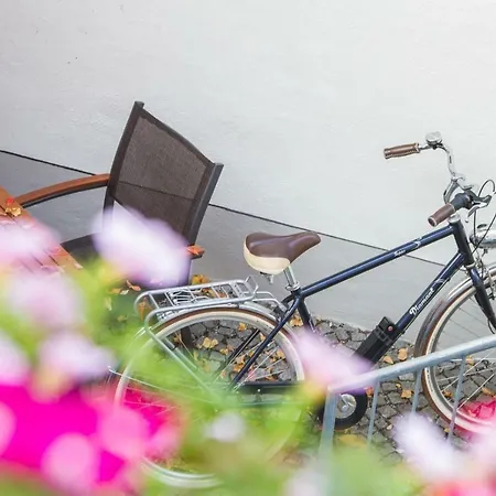 Domizil * 萨勒河畔瑙姆堡