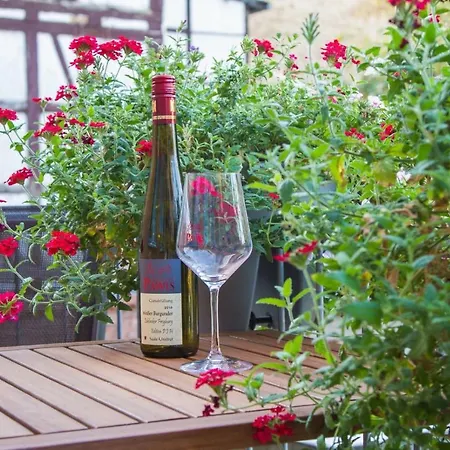 度假居 Domizil 萨勒河畔瑙姆堡